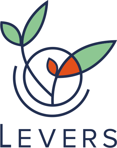 Levers for Climate_ logo. It brings you back to the home page.