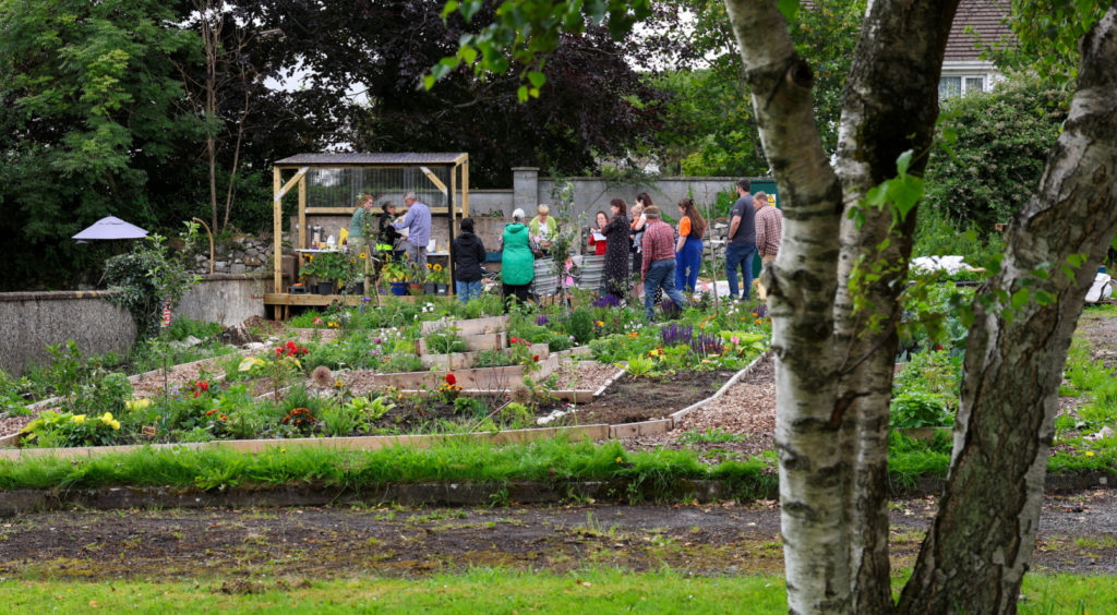 A garden rises up a gentle hill, with vegetable boxes, flowers and other plants. In the background a group of people chat with each other